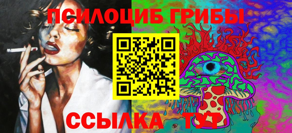 Галлюциногенные грибы GOLDEN TEACHER  Вход с VPN  где можно купить   Тимашёвск 